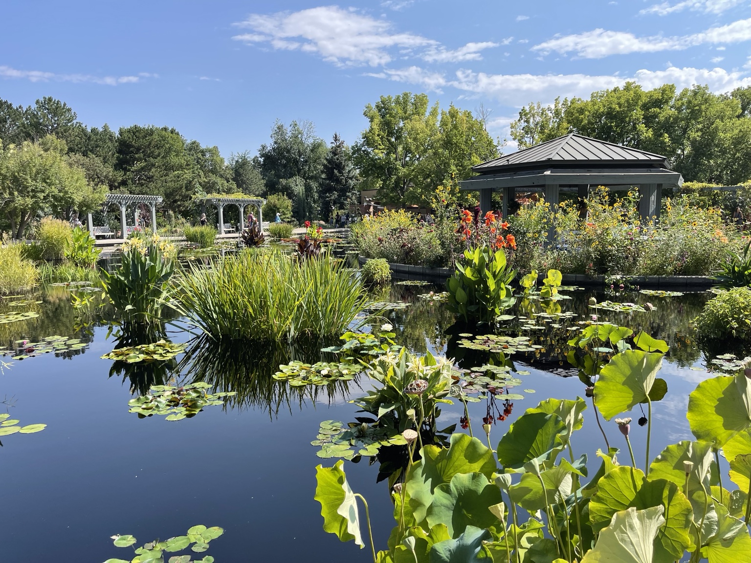 Garden pond surrounded by flowers and plants
