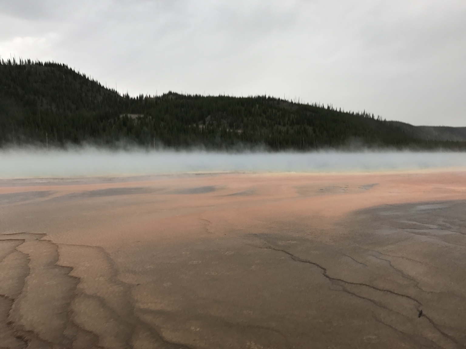 Steaming thermal pool at Yellowstone